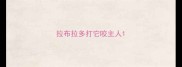 拉布拉多打它咬主人