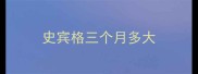 史宾格三个月多大