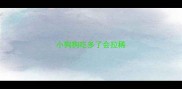 小狗狗吃多了会拉稀