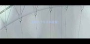 狗狗几个月才有蛋蛋