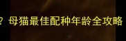 小猫什么时候能怀孕母猫最佳配种年龄全攻略新手必看科学指南