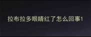 拉布拉多眼睛红了怎么回事