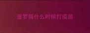 暹罗猫什么时候打疫苗