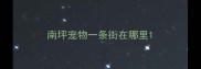 南坪宠物一条街在哪里