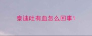 泰迪吐有血怎么回事