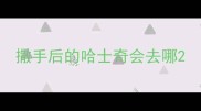 撒手后的哈士奇会去哪