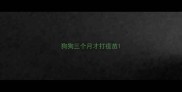 狗狗三个月才打疫苗