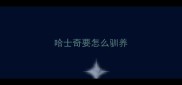 哈士奇要怎么驯养