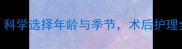 公泰迪绝育最佳时间科学选择年龄与季节术后护理全攻略附健康建议