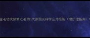 金毛幼犬频繁吐毛的5大原因及科学应对措施附护理指南