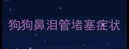 狗狗鼻泪管堵塞症状