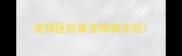 宠物医院拿宠物做实验