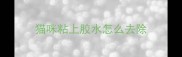 猫咪粘上胶水怎么去除