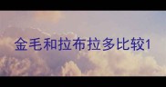 金毛和拉布拉多比较