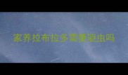 家养拉布拉多需要驱虫吗
