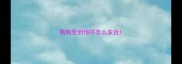 狗狗受到惊吓怎么安抚