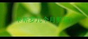 卡斯罗几个月剪耳