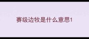 赛级边牧是什么意思