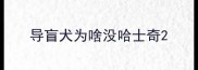 导盲犬为啥没哈士奇