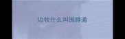 边牧什么叫围脖通