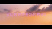 买边牧好还是别的狗好