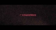 广州海诚宠物医院