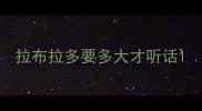 拉布拉多要多大才听话