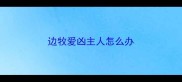 边牧爱凶主人怎么办