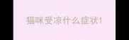 猫咪受凉什么症状