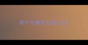 两个月博美大便几次