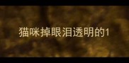猫咪掉眼泪透明的