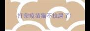 打完疫苗猫不拉屎了