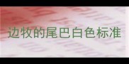 边牧的尾巴白色标准