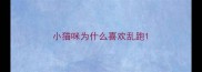 小猫咪为什么喜欢乱跑