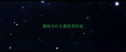 猫咪为什么要绝育好处