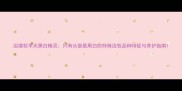 边境牧羊犬黑白精灵只有头部是黑白的特殊边牧品种特征与养护指南