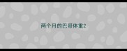 两个月的巴哥体重