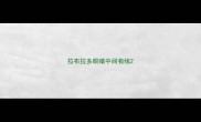 拉布拉多眼睛中间有线