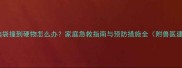 小狗脑袋撞到硬物怎么办家庭急救指南与预防措施全附兽医建议