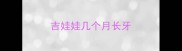 吉娃娃几个月长牙