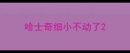 哈士奇细小不动了