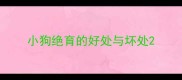 小狗绝育的好处与坏处