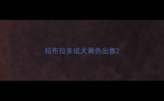拉布拉多成犬黄色出售
