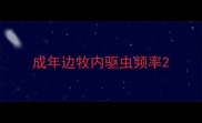 成年边牧内驱虫频率
