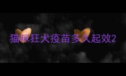 猫咪狂犬疫苗多久起效