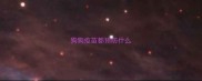 狗狗疫苗都预防什么