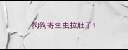 狗狗寄生虫拉肚子