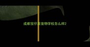 成都宝仔屋宠物学校怎么样