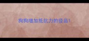 狗狗增加抵抗力的疫苗