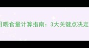 泰迪犬每日喂食量计算指南3大关键点决定科学喂养